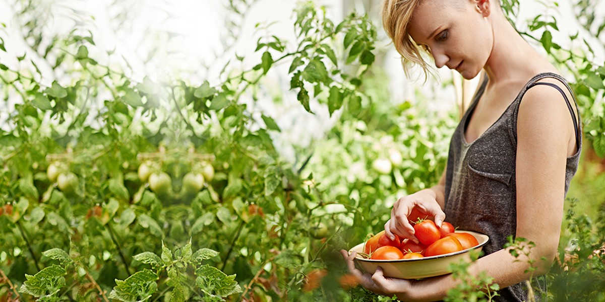 PASSER AU TOUT LÉGUME - Votre Guide Pour Devenir Végétarien (French Edition)